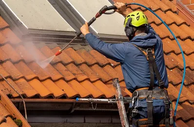 Démoussage et hydrofuge de toiture à Sardon